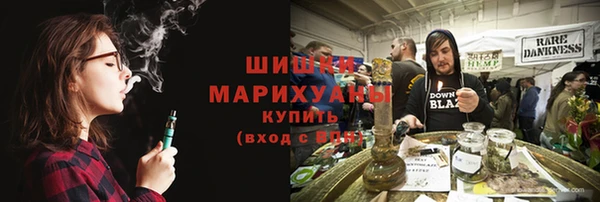 амф Козельск